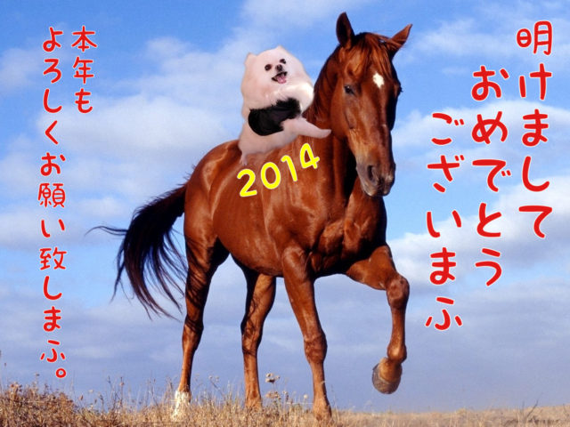 2014年
あけましておめでとうございます
本年もよろしくお願いいたします。
馬に乗った白ポメラニアンもふ。